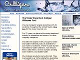 Culligan Water : Water Filter, Water Softener, Drinking Water, Water Cooler, Bottled Water, Reverse Osmosis