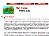 Pond Life