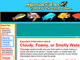 AquariumFish.net - Cloudy or Foamy Aquarium Water.